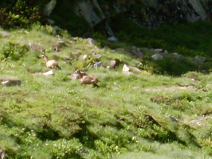 LaGrave 042.jpg